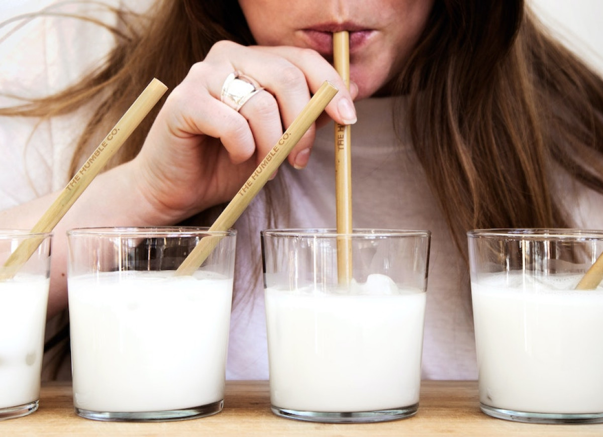 Kultury bakterii w mleku