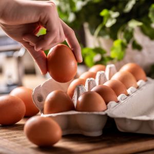 Jak sprawdzić świeżość jajka
