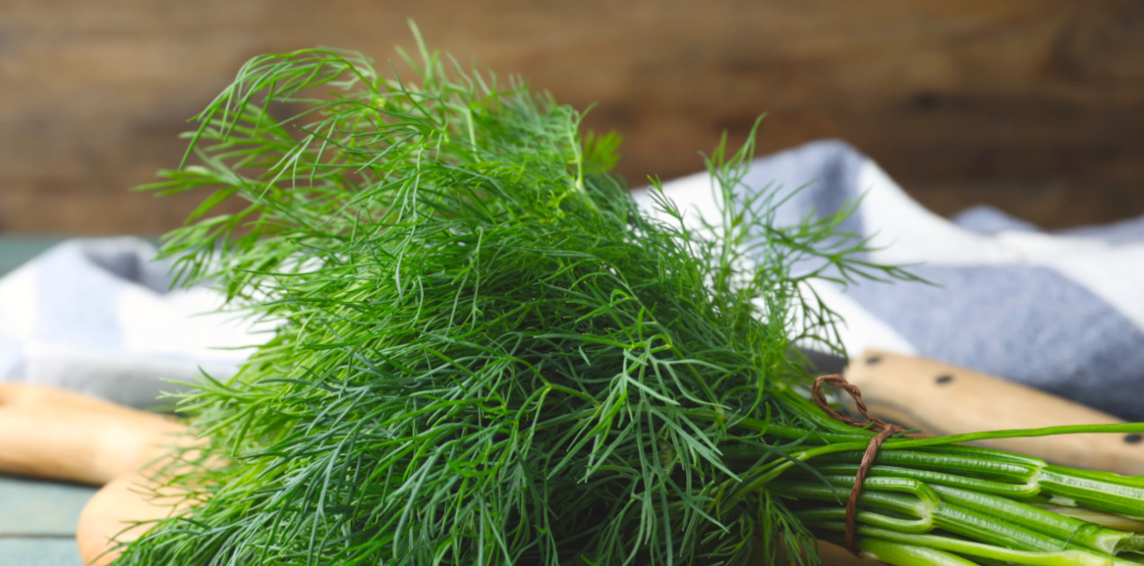 przechowywanie-koperku